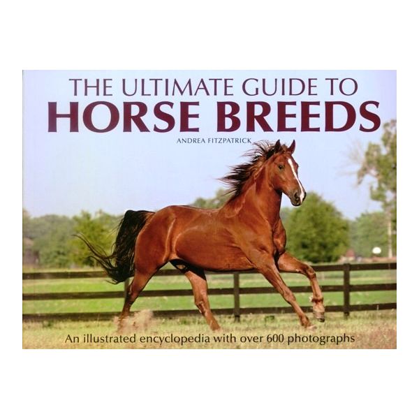 THE ULTIMATE GUIDE TO HORSE BREEDS