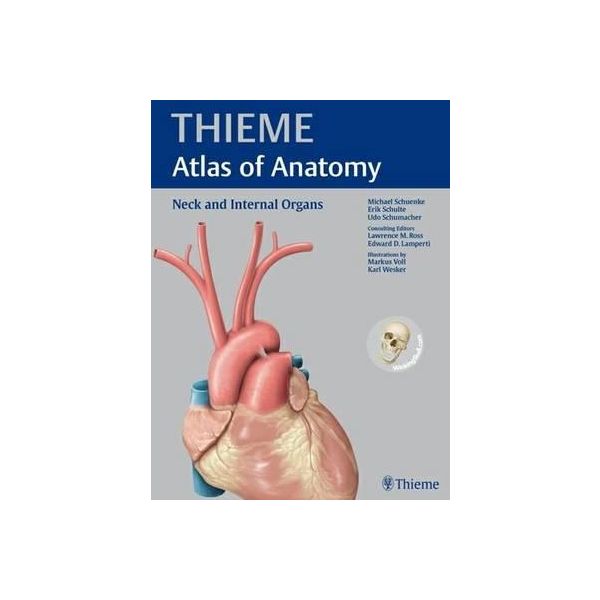 NECK AND INTERNAL ORGANS. “Thieme Atlas of Anato