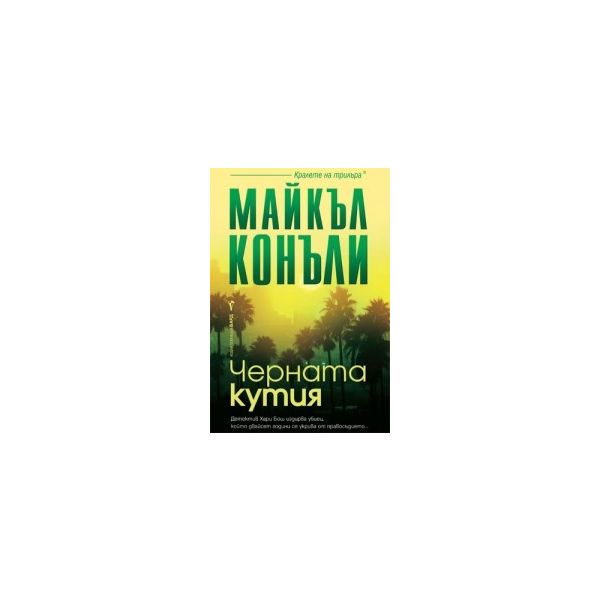 Черната кутия