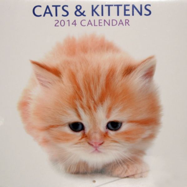 CATS & KITTENS 2014. /стенен календар/