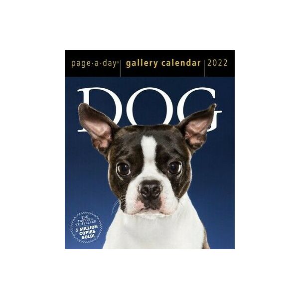 DOG PAGE-A-DAY GALLERY CALENDAR 2022