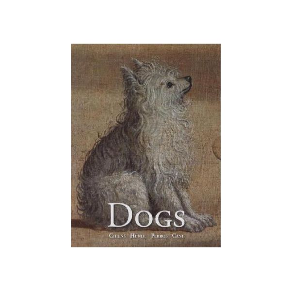 DOGS: Greeting Card
