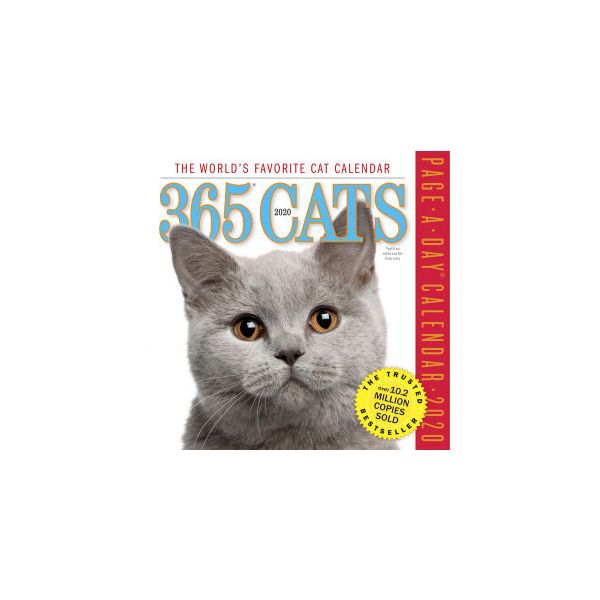 365 CATS PAGE-A-DAY CALENDAR 2020