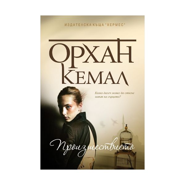 Господарката на чифлика, книга 1: Произшествието