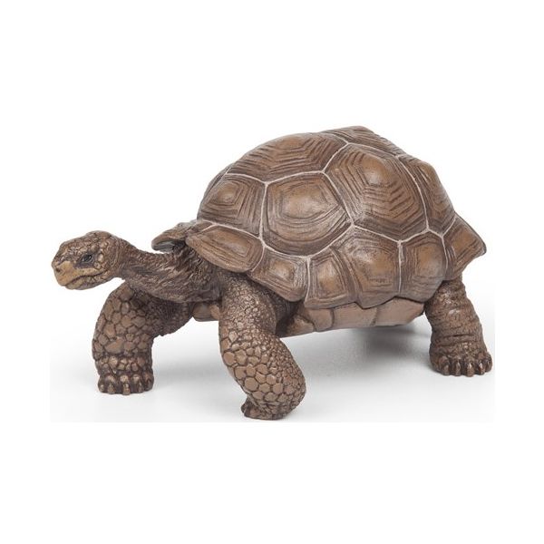 50161 Фигурка Galapagos Tortoise