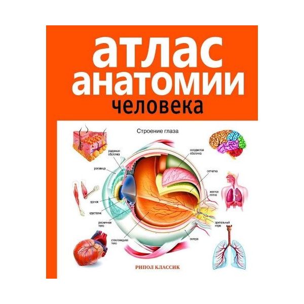 Атлас анатомии человека, 2-е издание