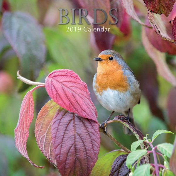BIRDS 2019. /стенен календар/