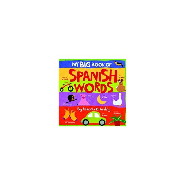 MY BIG BOOK OF SPANISH WORDS