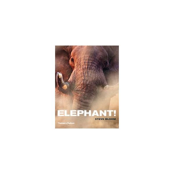 ELEPHANT!