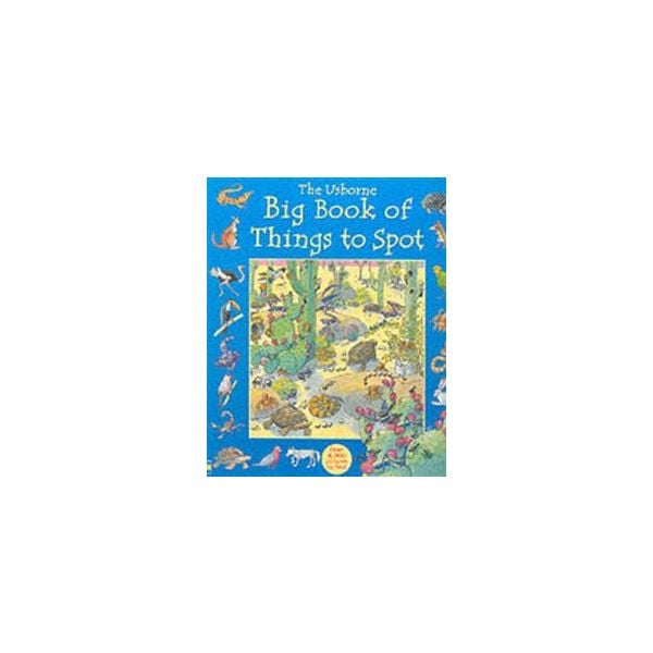 THE USBORNE BIG BOOK OF THINGS TO SPOT