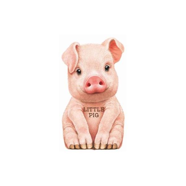 LITTLE PIG