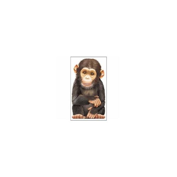 LITTLE MONKEY. “Look At Me“