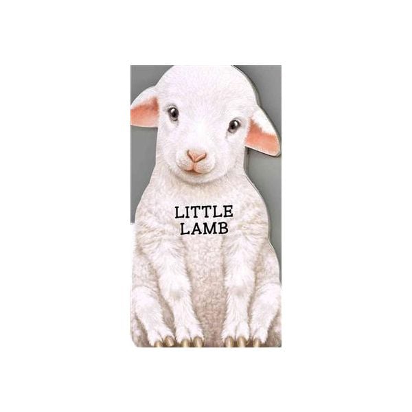 LITTLE LAMB. “Look at Me“