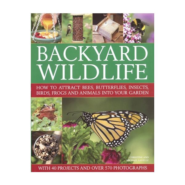 BACKYARD WILDLIFE: How To Attract Bees, Butterfl