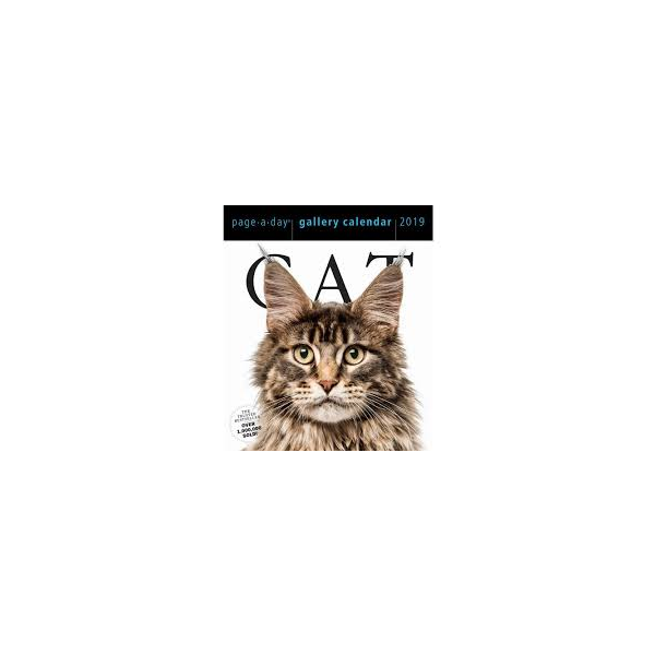 CAT PAGE-A-DAY GALLERY CALENDAR 2019