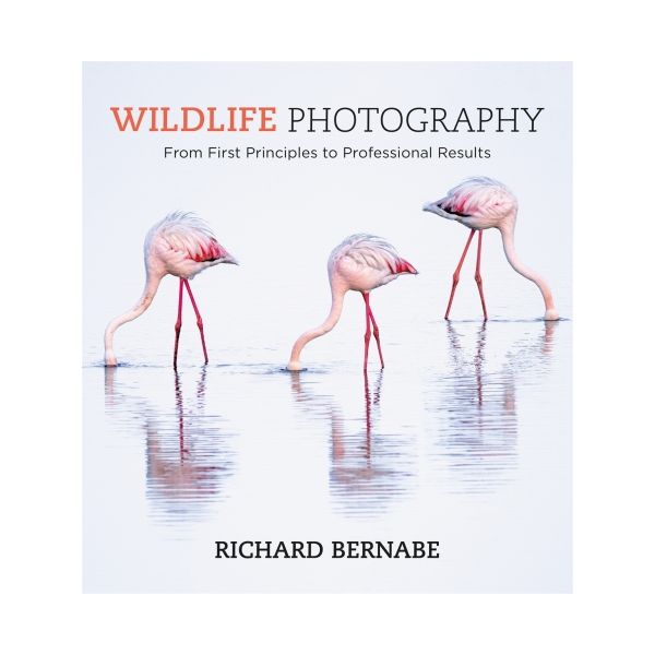 WILDLIFE PHOTOGRAPHY