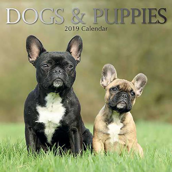 DOGS & PUPPIES 2019. /стенен календар/
