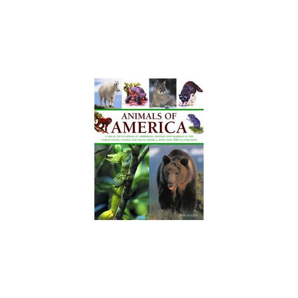 ANIMALS OF AMERICA: a visual encyclopedia of amp