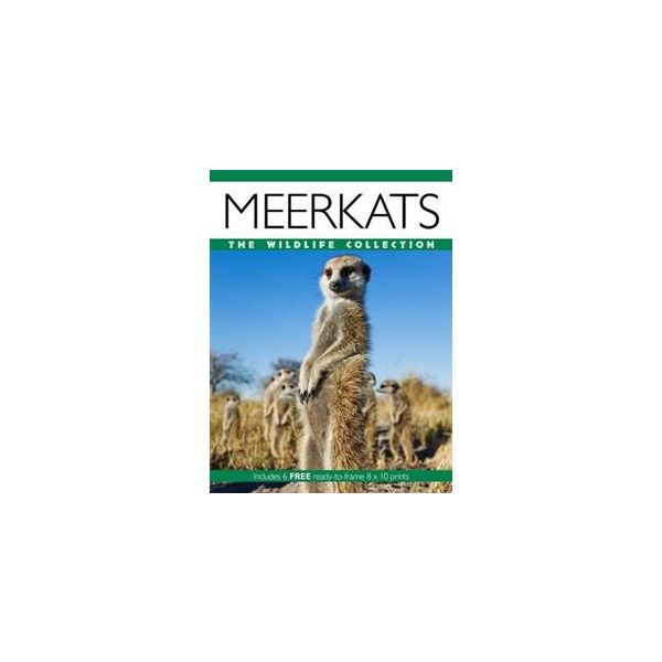 MEERKATS: The Wildlife Collection