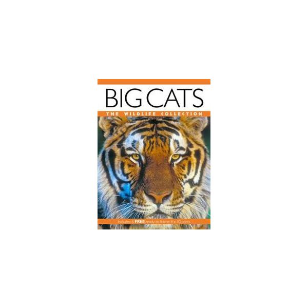 BIG CATS: The Wildlife Collection