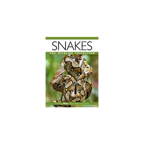 SNAKES: The Wildlife Collection