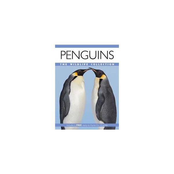 PENGUINS: The Wildlife Collection