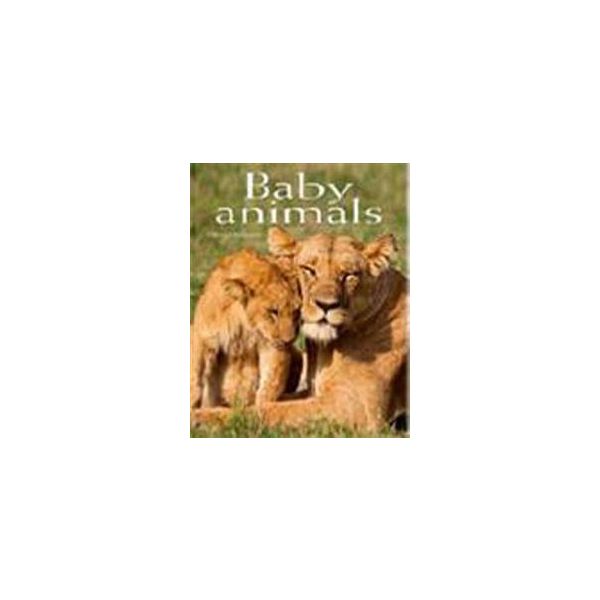 BABY ANIMALS: POCKET BOOK