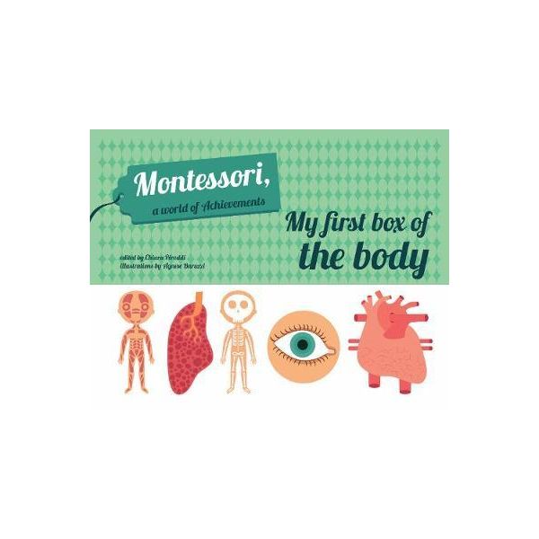 MY FIRST BOX OF THE BODY. “Montessori a World of Achievements“