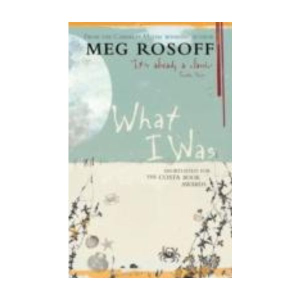 WHAT I WAS. (Meg Rosoff)