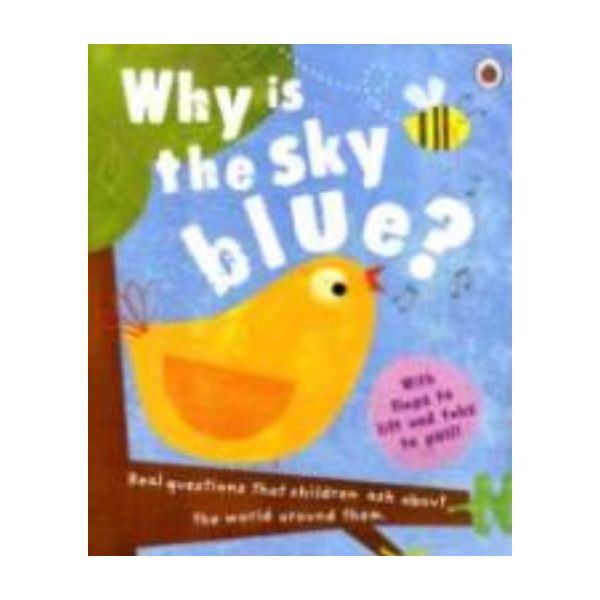 WHY IS THE SKY BLUE?. (Geraldine Taylor)