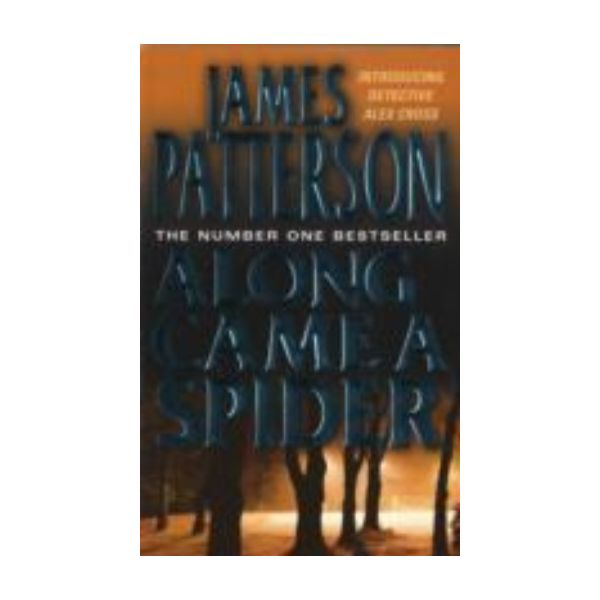 ALONG CAME A SPIDER. (James Patterson)