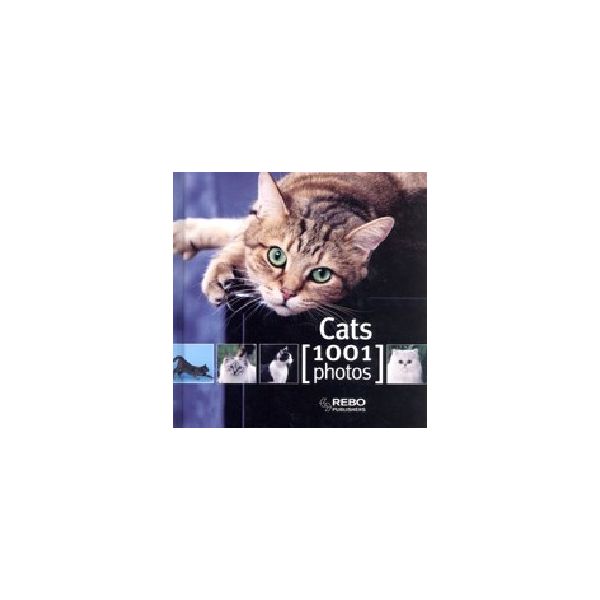 CATS : 1001 Photos. “REBO“