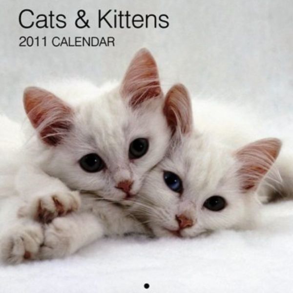 CATS & KITTENS 2011. /стенен календар/