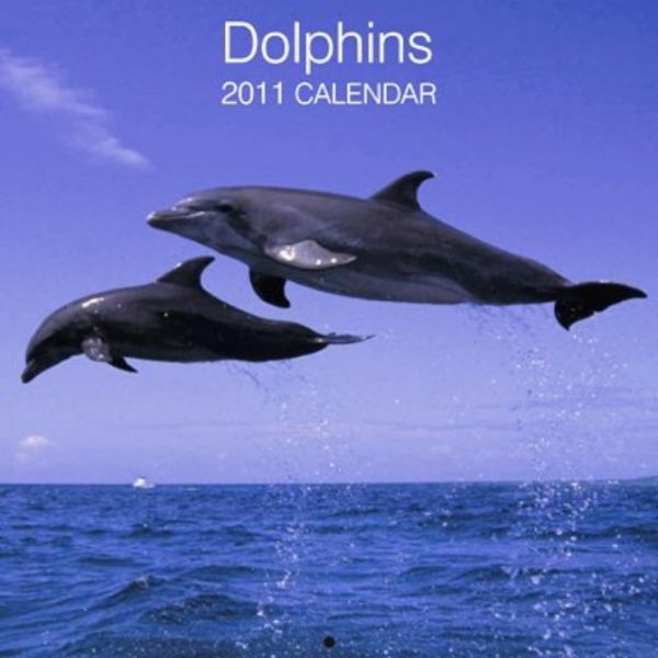 DOLPHINS 2011. /стенен календар/
