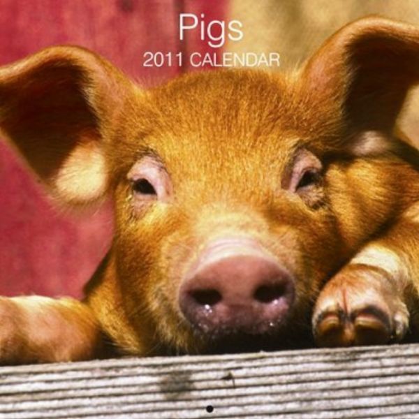 PIGS 2011. /стенен календар/