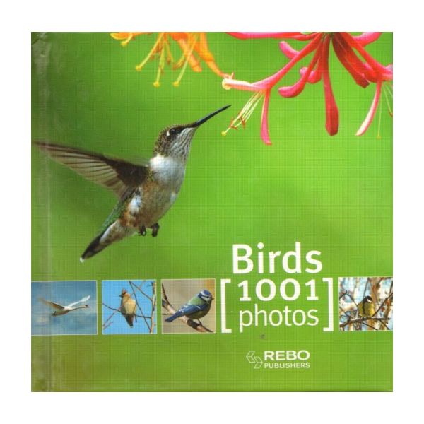 BIRDS: 1001 Photos. “REBO“