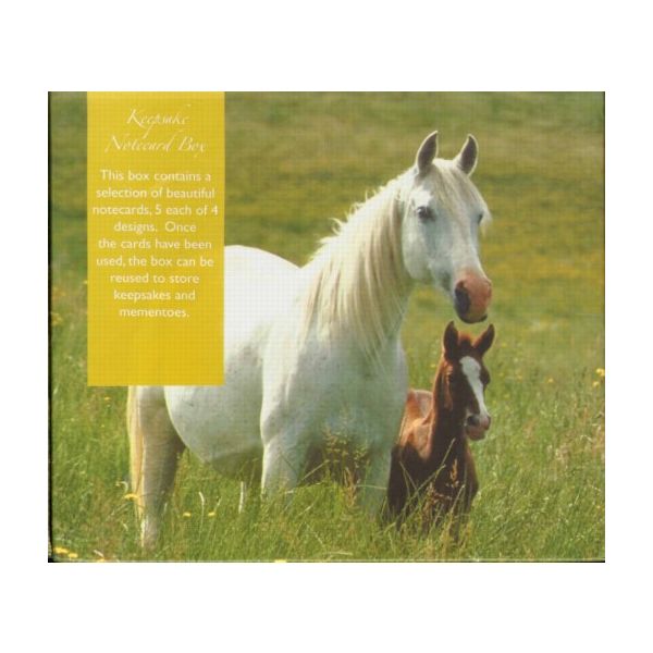 HORSES: 20 notecards with envelopes.