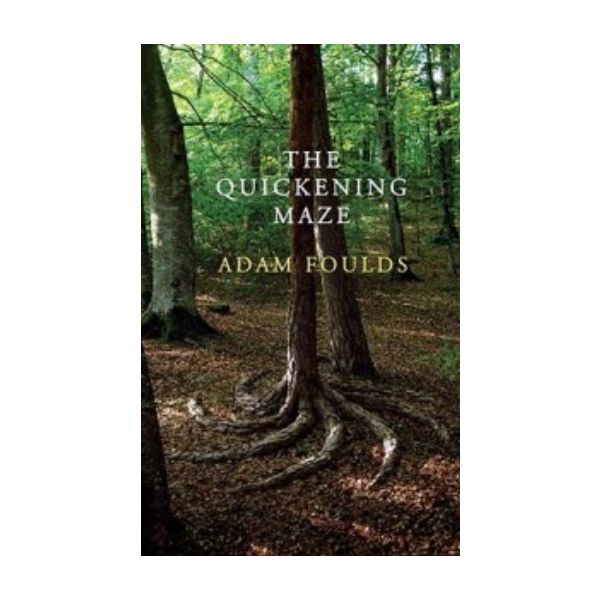 QUICKENING MAZE_THE. (Adam Foulds)