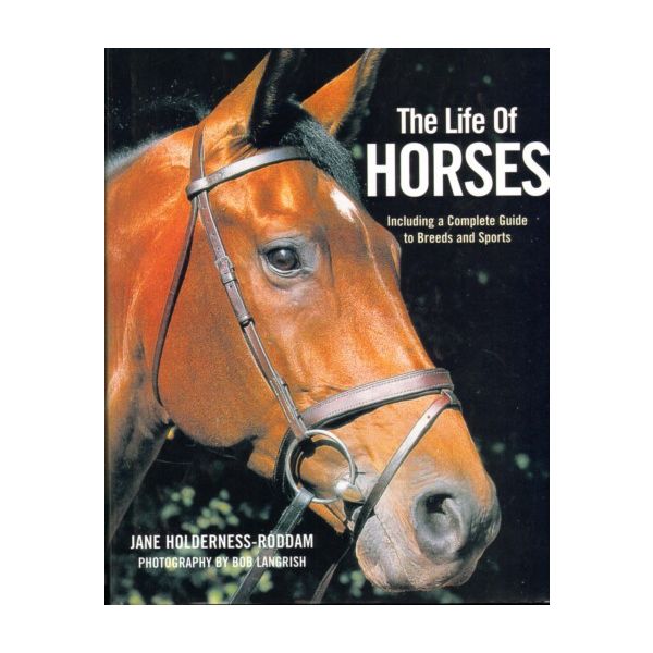 LIFE OF HORSES_THE. (Jane Roddam), “BB“