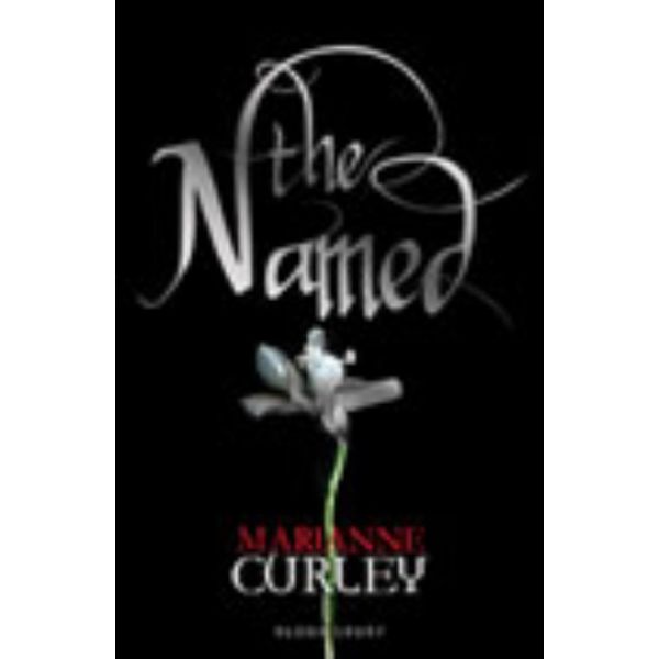 THE NAMED. “The Guardians of Time“ Book 1. (Mari
