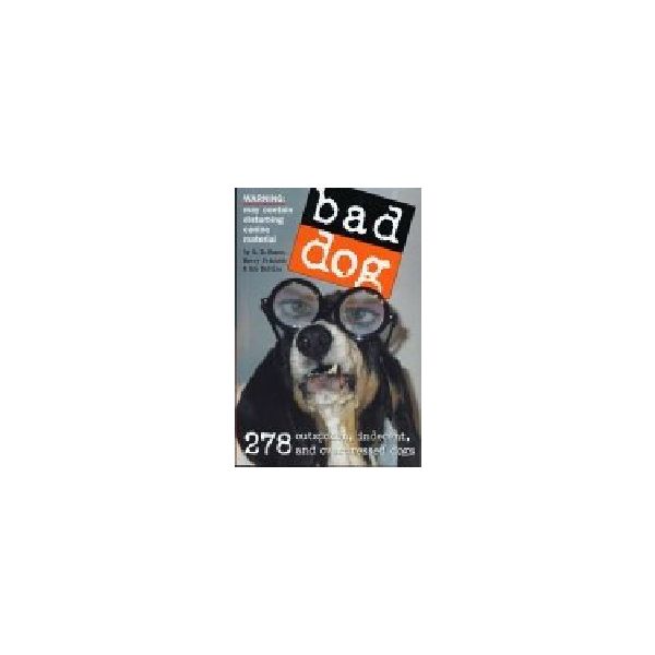BAD DOG. (R.Rosen, H.Prichett & R.Battles), “Wor