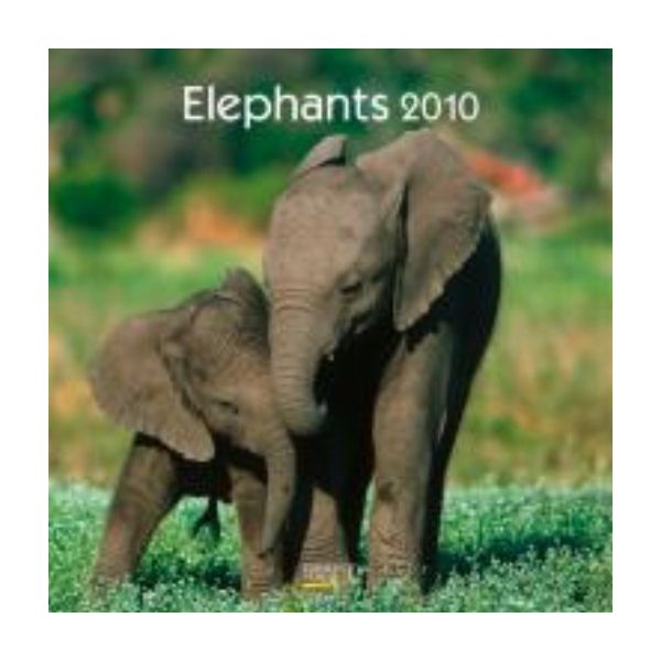 ELEPHANTS 2010. /стенен календар: 30 х 30 см./