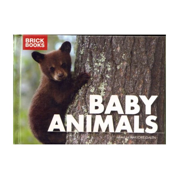 BRICK BOOK ANIMALS.