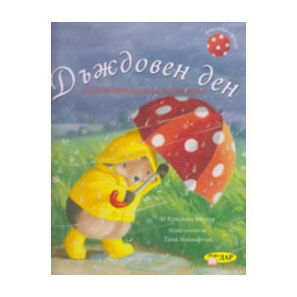 Дъждовен ден. “ИнфоДАР“