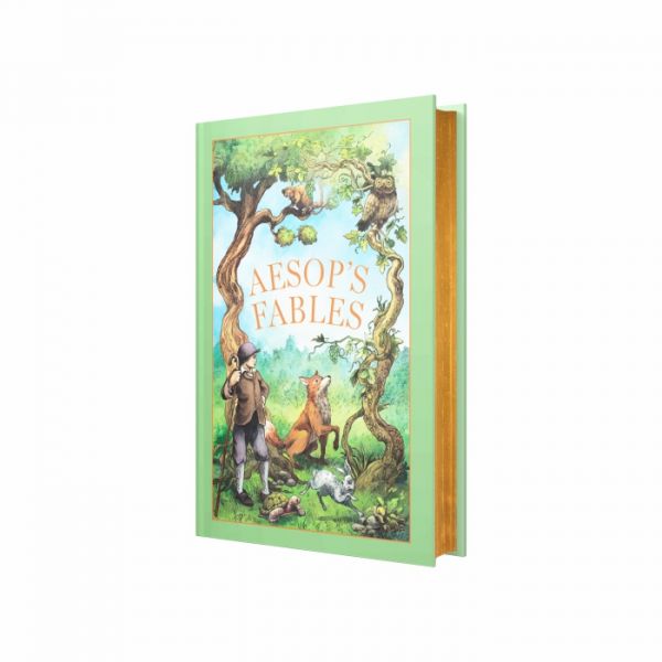 Aesop`s Fables (Hardback)