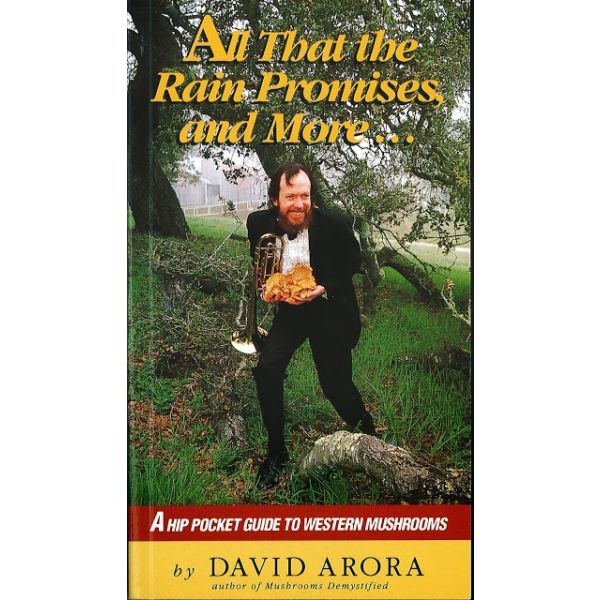 ALL THAT THE RAIN PROMISES AND MORE