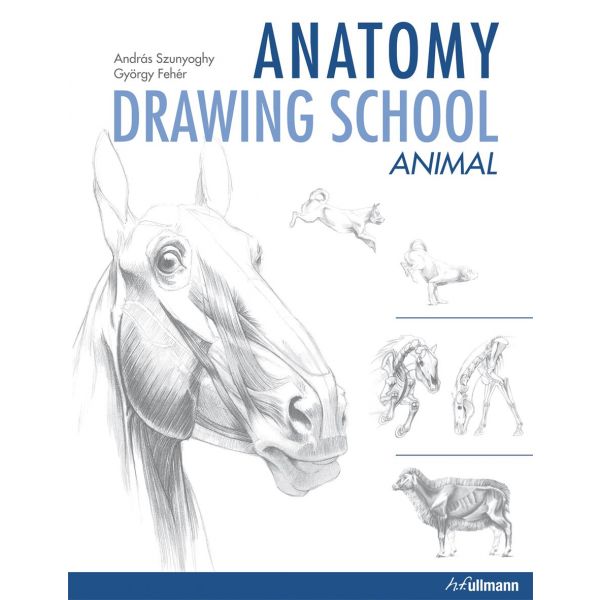 ANATOMY DRAWING SCHOOL: Animals