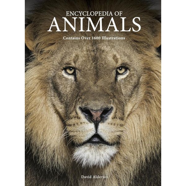 Animals (Illustrated Encyclopedia)