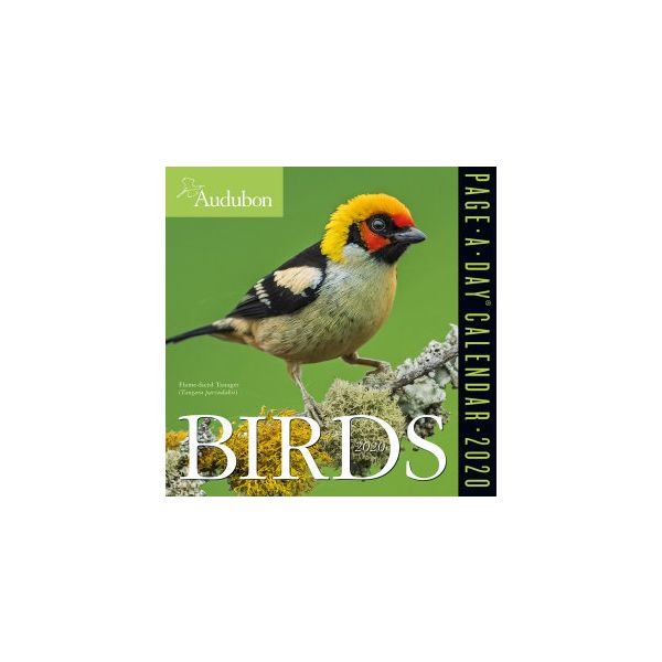 AUDUBON BIRDS PAGE-A-DAY CALENDAR 2020