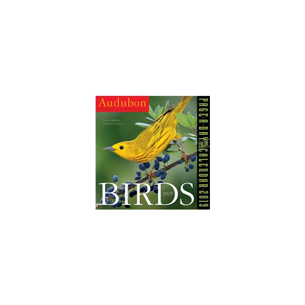 AUDUBON BIRDS PAGE-A-DAY CALENDAR 2019